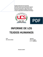 Los tejidos humanos: características y funciones