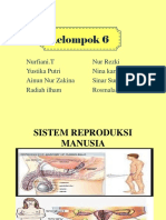 Presentasi Biologi (Reproduksi Manusia)