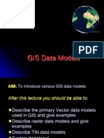 GIS Data Type