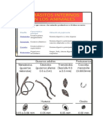 Principales Enfermedades Parasitarias en Vacunos Ovinos Camelidos