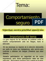 Comportamiento Seguro