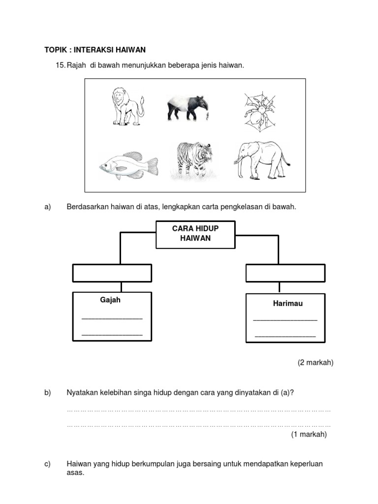 15 19 Interaksi Haiwan Pdf