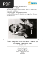 Indice Integral de La Salud Materna e Infantil Por Municipios PR 2009