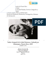 Indice Integral de La Salud Materna e Infantil Por Municipios PR 2009