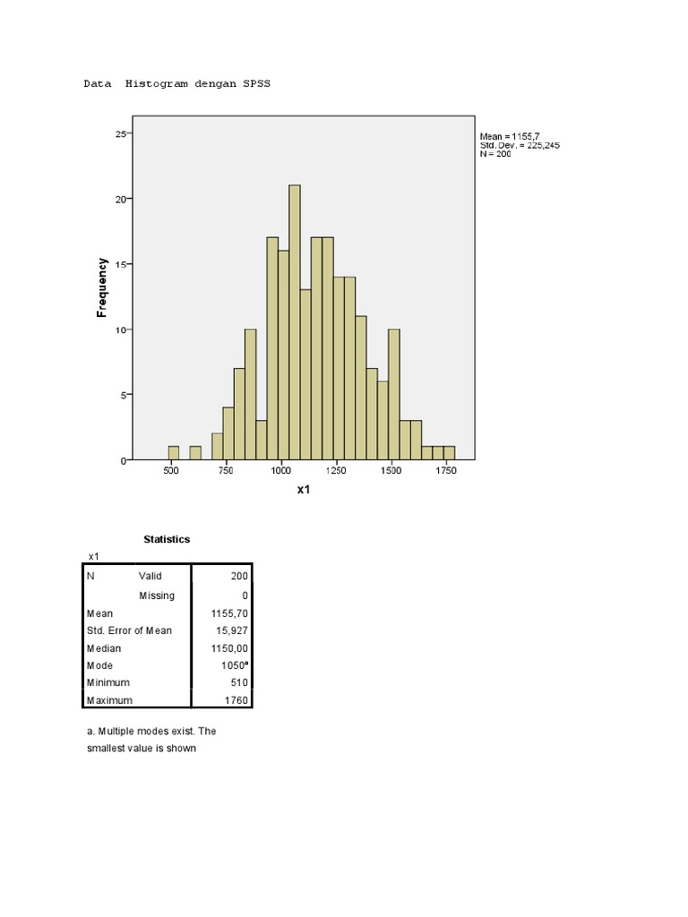 Data Histogram Dengan SPSS: Statistics | PDF