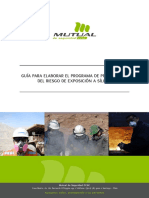 GUIA-PARA-ELABORAR-EL-PROGRAMA-DE-PREVENCION.pdf