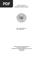 Download Laporan Observasi Lahan Sawah by Eksa SN367122468 doc pdf