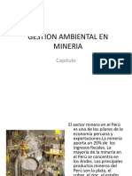 Gestion Ambiental en Mineria II