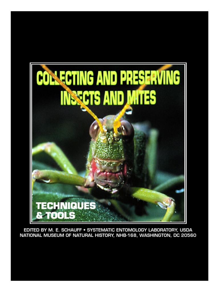 Insect Collection and Preservation Guide | PDF | Conservation | Nature