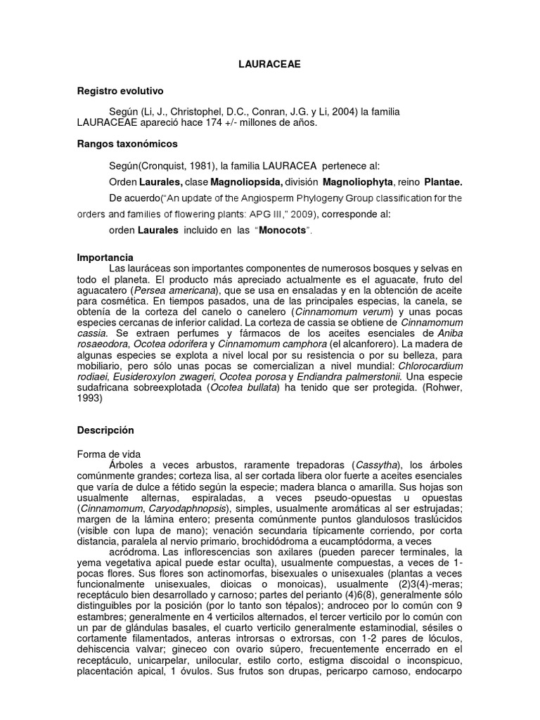 familia-lauraceae-pdf-bot-nica-ramas-de-la-bot-nica