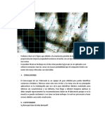 Podemos Decir en La Figura Que Debido a La Orientación Paralela de Las Fibras Del Ichu Estas Proporcionaran Mejores Propiedad Mecánicas Al Unirlas Con Un Tipo de Matriz en Este Caso Una Resina