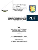 Inhibicion de Hongos Fitopatogenos de Guanabana Mediante Bacteria Pseudomonas