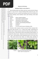 Download belimbing wuluhpdf by Hamidah Ithaatur Rifah SN367140617 doc pdf