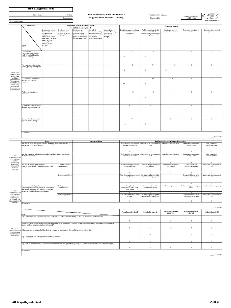 01 Jipm Am Audit Step by Step | PDF | Nature