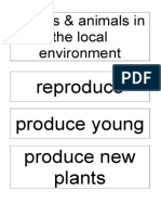 31665-KS1 Plants and Animals in The Local Environment Vocab