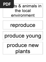 31665-KS1 Plants and Animals in The Local Environment Vocab