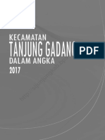 Kecamatan Tanjung Gadang Dalam Angka 2017