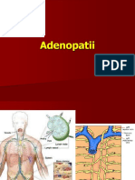 Adenopatii Curs