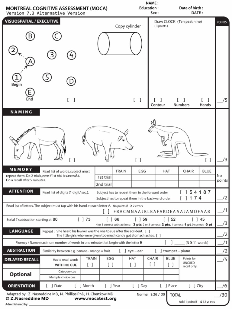 MoCATestEnglish 7 3 June 13 PDF PDF
