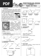 Matemática - Pré-Vestibular Impacto - Trigonometria - Ângulos entre Planos