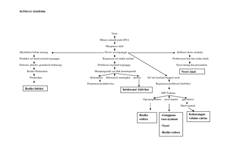 Pathway Leukimia | PDF
