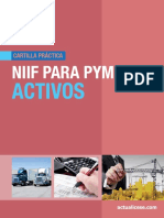 NIIF-para-PYMES-ACTIVOS.pdf