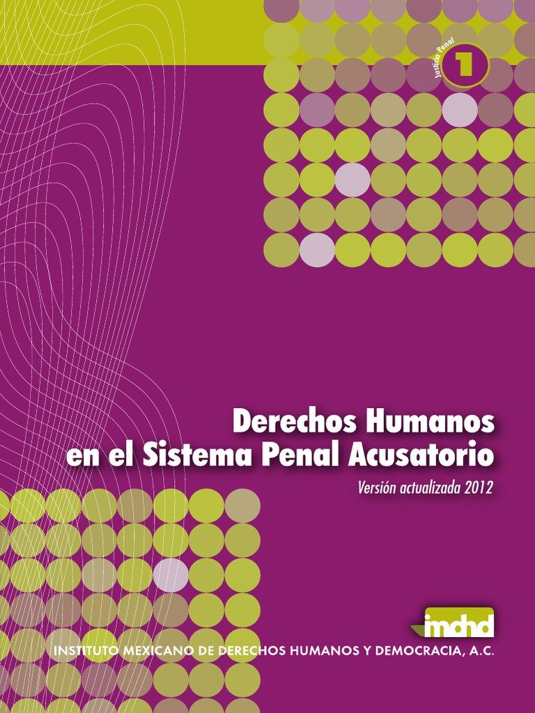 Derechos Humanos en El SIstema Penal Acusatorio | PDF | Procedimiento ...