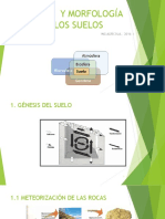 IV. Génesis y Morfología de Los Suelos.1