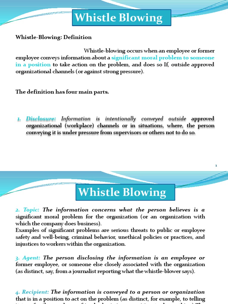 Ch6 4 Pdf Whistleblower Government Information