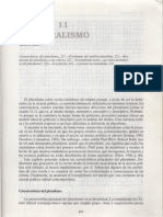 El Pluralismo (Smith, 2007)