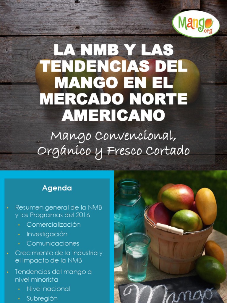 Nmb Apem Congreso