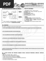 Português - Pré-Vestibular Impacto - Níveis de Linguagem - Culta I