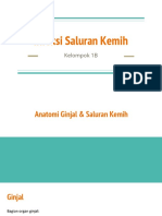 Infeksi Saluran Kemih: Kelompok 1B