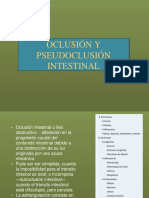 Oclusion Intestinal UEES