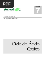 7-Cliclo do -cido citrico [ciclo de krebs].pdf