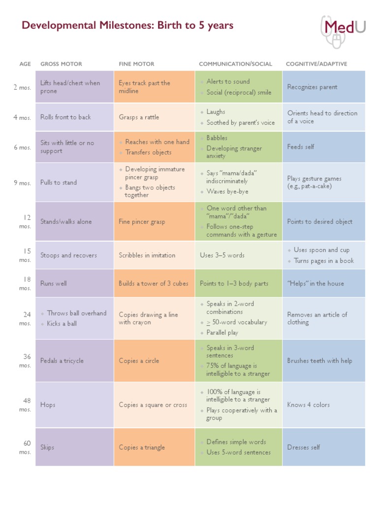 Developmental Milestones For PDF | PDF | Psychology | Cognition