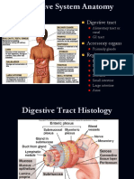 Digestive System 2