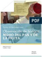 Practica_3_Observacion_hongos.pdf