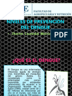 Dengue-Salud Publica