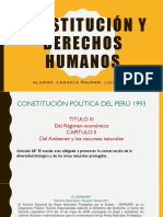 Constitución y Derechos Humanos Expo