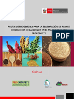 Pauta_planes_de_negocio_quinua.pdf