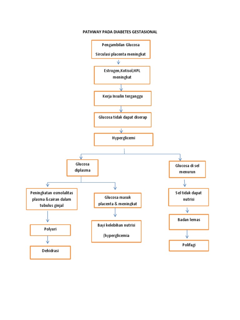 Pathway Diabetes Mellitus Gestasional Pdf - vrogue.co