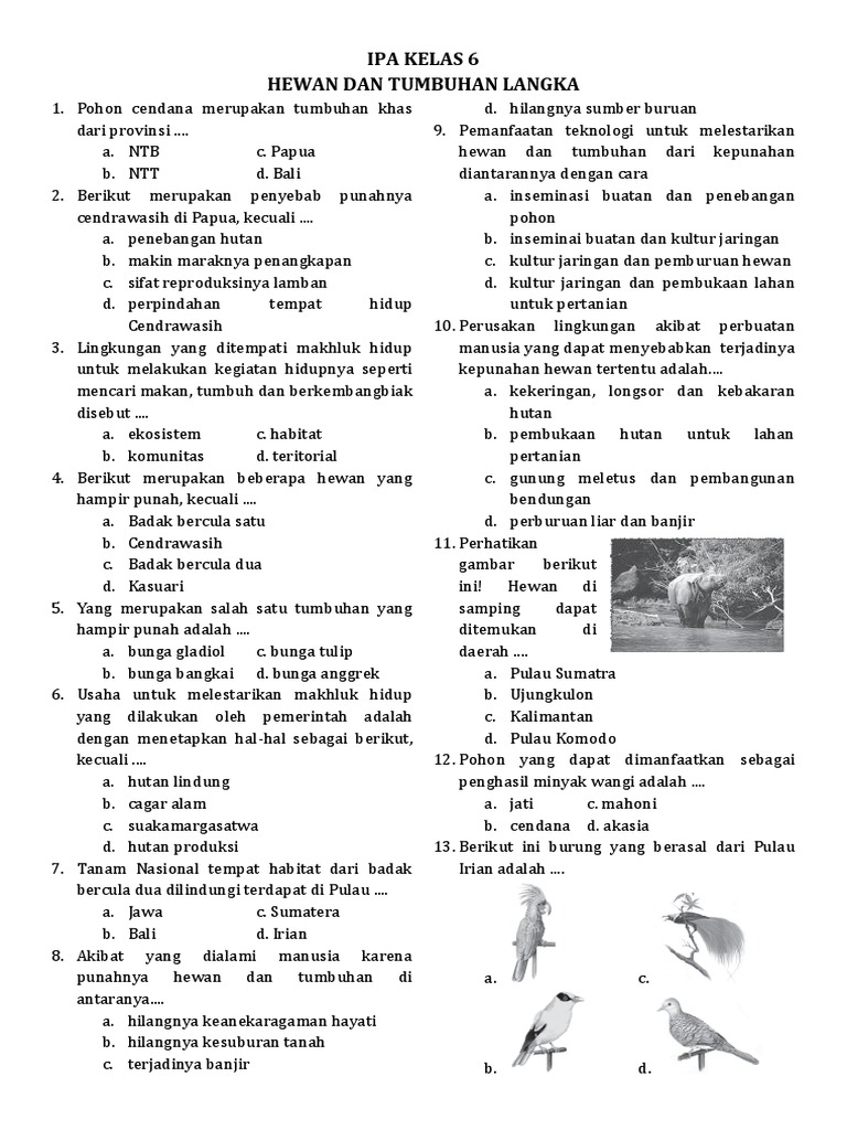 Soal Ipa Kelas 6 Hewan  Dan Tumbuhan Langka 