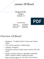 Brazil Economy Overview 1985-1998