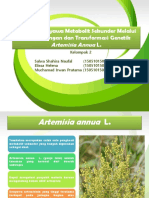 Tugas PPT Mikropropagasi Senyawa Metabolit Sekunder