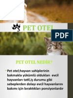 Gi̇ri̇şi̇mci̇li̇k Pet Otel