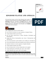 Kingdoms Plantae and Animalia Classification and Characteristics