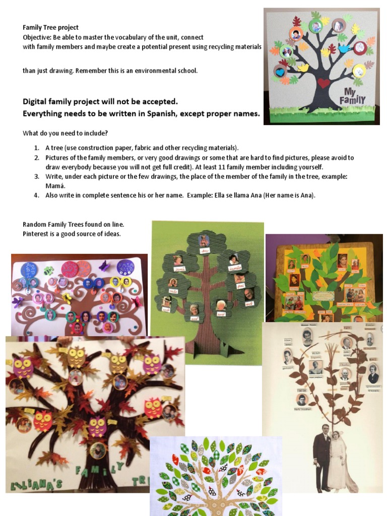 family tree project 7th and 8th grade