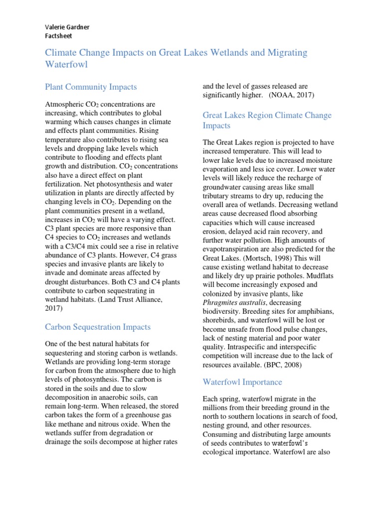 Climate Change Effects on Great Lakes Wetlands | PDF | Wetland | Carbon ...
