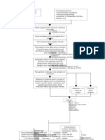 Pathophysiology: Aedes Aegypti Bites The Host, Injecting